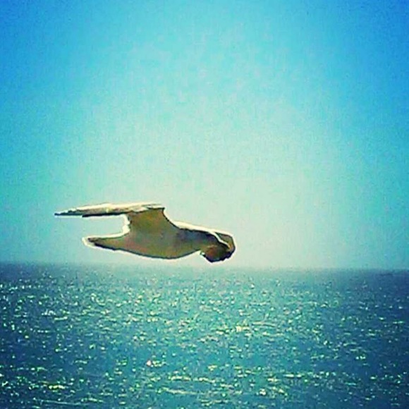 Meet your Posher, Tami - Picture 1 of 2